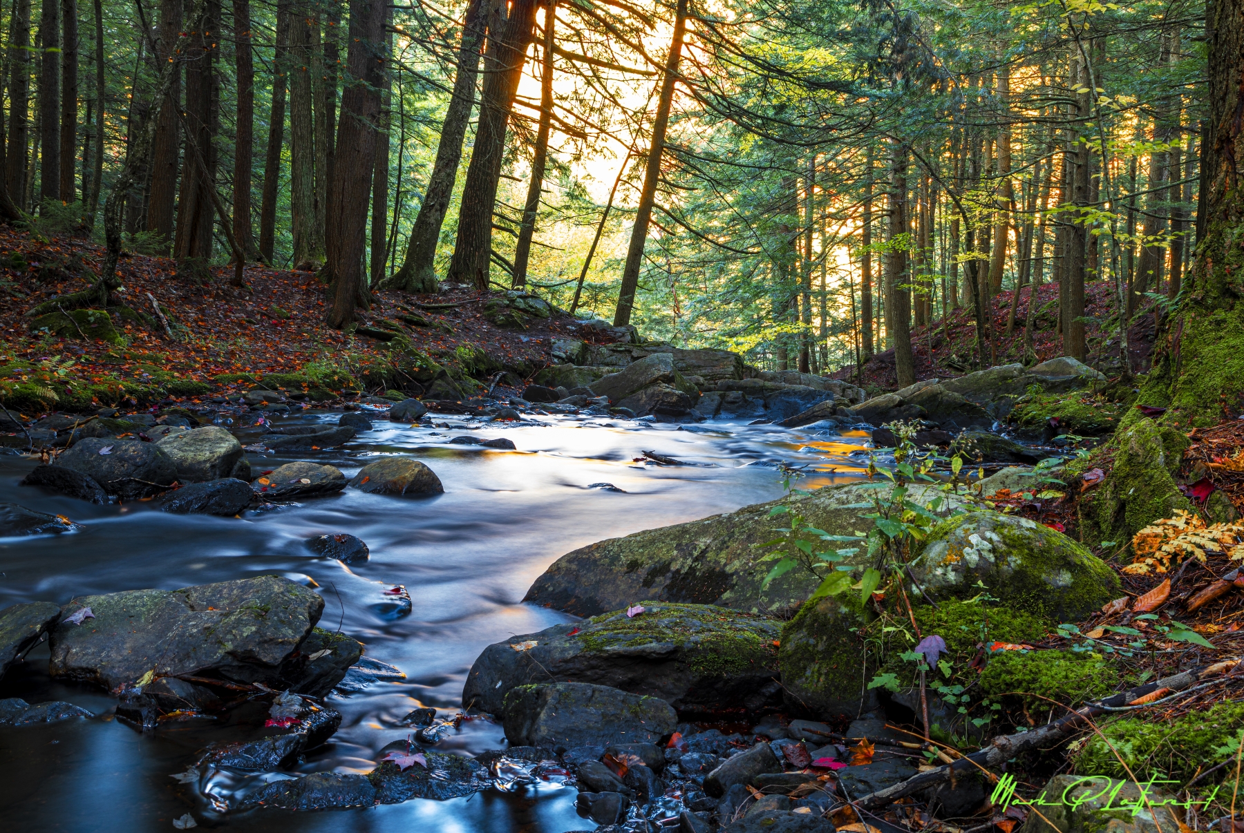 /gallery/north_america/USA/Vermont/killington/Thunder Brook Killington VT 2021-019_med.jpg